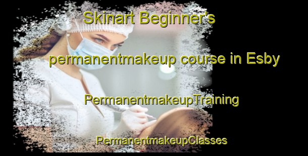 Skinart Beginner's permanentmakeup course in Esby | #PermanentmakeupTraining #PermanentmakeupClasses #SkinartTraining-Denmark