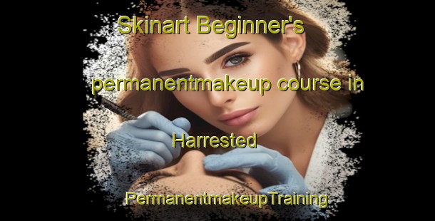 Skinart Beginner's permanentmakeup course in Harrested | #PermanentmakeupTraining #PermanentmakeupClasses #SkinartTraining-Denmark