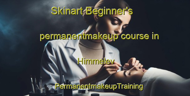 Skinart Beginner's permanentmakeup course in Himmelev | #PermanentmakeupTraining #PermanentmakeupClasses #SkinartTraining-Denmark