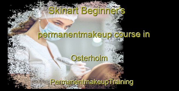 Skinart Beginner's permanentmakeup course in Osterholm | PermanentmakeupTraining | PermanentmakeupClasses | SkinartTraining-Denmark