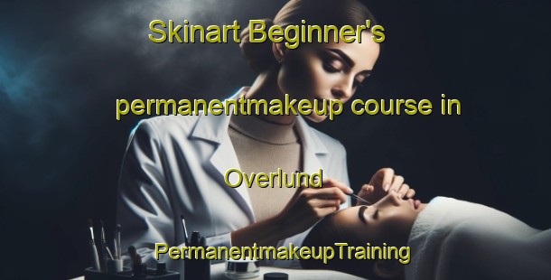 Skinart Beginner's permanentmakeup course in Overlund | PermanentmakeupTraining | PermanentmakeupClasses | SkinartTraining-Denmark