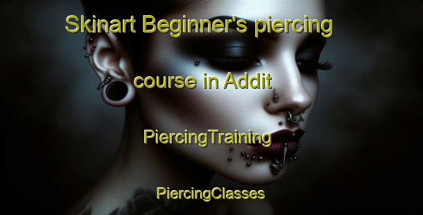 Skinart Beginner's piercing course in Addit | #PiercingTraining #PiercingClasses #SkinartTraining-Denmark