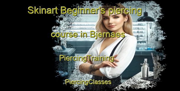 Skinart Beginner's piercing course in Bjernaes | PiercingTraining | PiercingClasses | SkinartTraining-Denmark