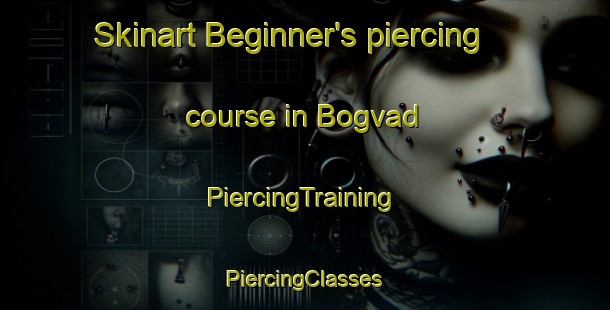 Skinart Beginner's piercing course in Bogvad | #PiercingTraining #PiercingClasses #SkinartTraining-Denmark