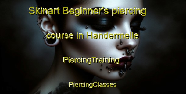 Skinart Beginner's piercing course in Handermelle | #PiercingTraining #PiercingClasses #SkinartTraining-Denmark