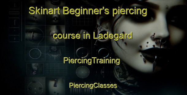 Skinart Beginner's piercing course in Ladegard | #PiercingTraining #PiercingClasses #SkinartTraining-Denmark