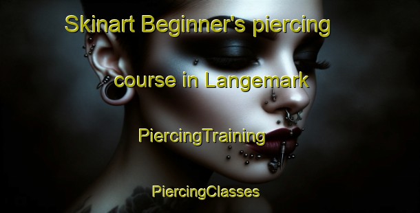 Skinart Beginner's piercing course in Langemark | PiercingTraining | PiercingClasses | SkinartTraining-Denmark