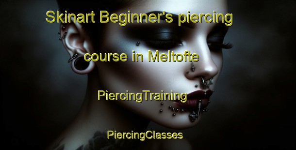 Skinart Beginner's piercing course in Meltofte | PiercingTraining | PiercingClasses | SkinartTraining-Denmark