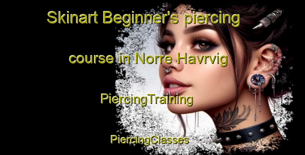 Skinart Beginner's piercing course in Norre Havrvig | PiercingTraining | PiercingClasses | SkinartTraining-Denmark
