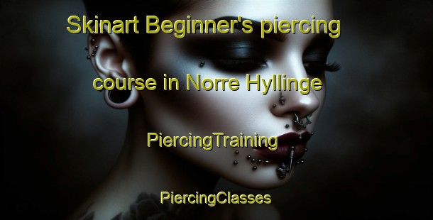 Skinart Beginner's piercing course in Norre Hyllinge | #PiercingTraining #PiercingClasses #SkinartTraining-Denmark