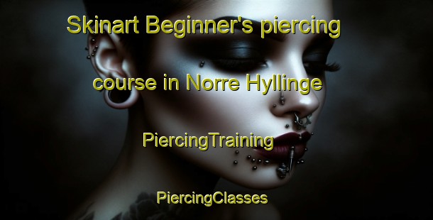 Skinart Beginner's piercing course in Norre Hyllinge | PiercingTraining | PiercingClasses | SkinartTraining-Denmark