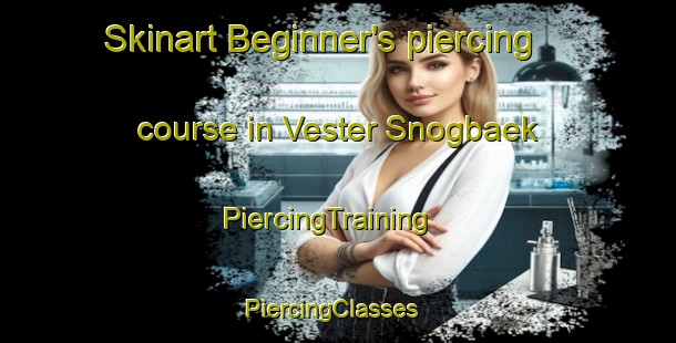Skinart Beginner's piercing course in Vester Snogbaek | PiercingTraining | PiercingClasses | SkinartTraining-Denmark