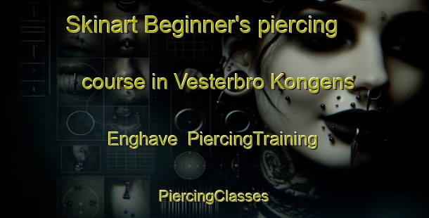 Skinart Beginner's piercing course in Vesterbro Kongens Enghave | #PiercingTraining #PiercingClasses #SkinartTraining-Denmark