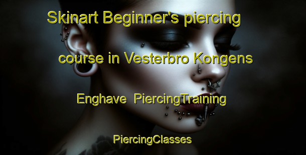 Skinart Beginner's piercing course in Vesterbro Kongens Enghave | #PiercingTraining #PiercingClasses #SkinartTraining-Denmark