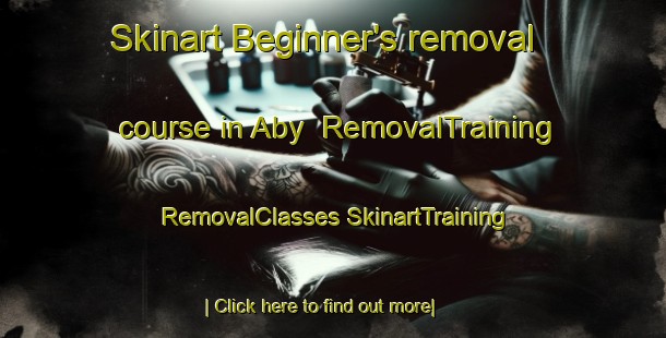 Skinart Beginner's removal course in Aby | #RemovalTraining #RemovalClasses #SkinartTraining-Denmark