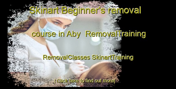 Skinart Beginner's removal course in Aby | #RemovalTraining #RemovalClasses #SkinartTraining-Denmark