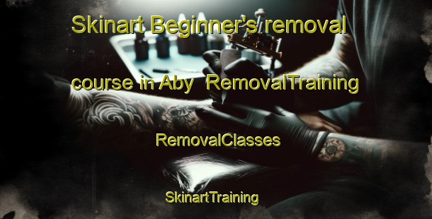 Skinart Beginner's removal course in Aby | RemovalTraining | RemovalClasses | SkinartTraining-Denmark