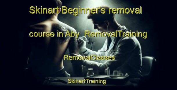 Skinart Beginner's removal course in Aby | RemovalTraining | RemovalClasses | SkinartTraining-Denmark