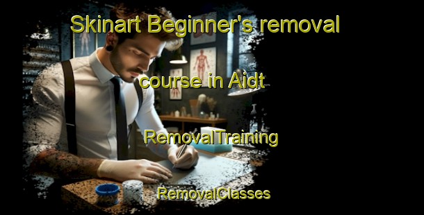 Skinart Beginner's removal course in Aidt | RemovalTraining | RemovalClasses | SkinartTraining-Denmark