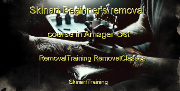 Skinart Beginner's removal course in Amager Ost | #RemovalTraining #RemovalClasses #SkinartTraining-Denmark