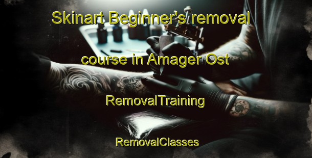 Skinart Beginner's removal course in Amager Ost | RemovalTraining | RemovalClasses | SkinartTraining-Denmark