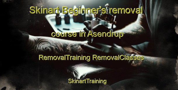 Skinart Beginner's removal course in Asendrup | #RemovalTraining #RemovalClasses #SkinartTraining-Denmark