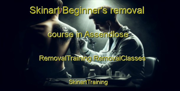 Skinart Beginner's removal course in Assendlose | #RemovalTraining #RemovalClasses #SkinartTraining-Denmark