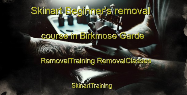 Skinart Beginner's removal course in Birkmose Garde | #RemovalTraining #RemovalClasses #SkinartTraining-Denmark