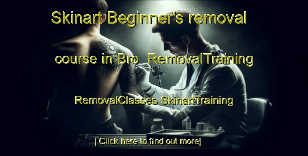 Skinart Beginner's removal course in Bro | #RemovalTraining #RemovalClasses #SkinartTraining-Denmark