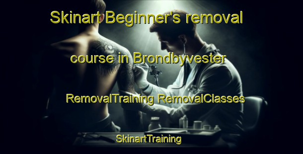 Skinart Beginner's removal course in Brondbyvester | #RemovalTraining #RemovalClasses #SkinartTraining-Denmark