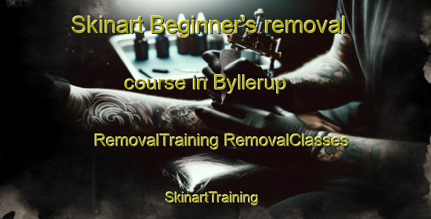 Skinart Beginner's removal course in Byllerup | #RemovalTraining #RemovalClasses #SkinartTraining-Denmark