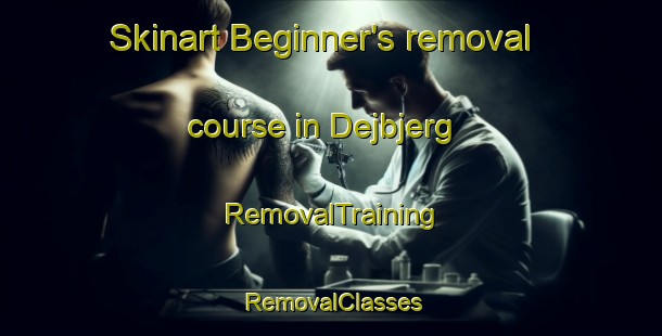Skinart Beginner's removal course in Dejbjerg | RemovalTraining | RemovalClasses | SkinartTraining-Denmark