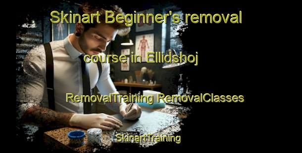 Skinart Beginner's removal course in Ellidshoj | #RemovalTraining #RemovalClasses #SkinartTraining-Denmark