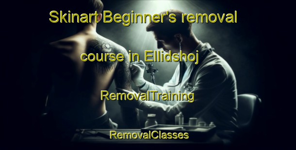 Skinart Beginner's removal course in Ellidshoj | RemovalTraining | RemovalClasses | SkinartTraining-Denmark