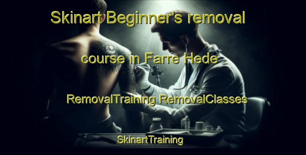 Skinart Beginner's removal course in Farre Hede | #RemovalTraining #RemovalClasses #SkinartTraining-Denmark