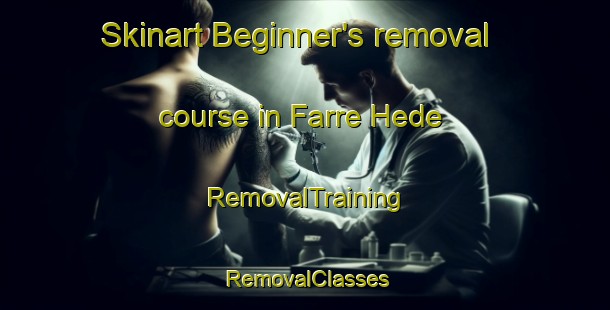 Skinart Beginner's removal course in Farre Hede | RemovalTraining | RemovalClasses | SkinartTraining-Denmark