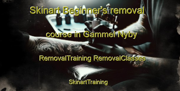 Skinart Beginner's removal course in Gammel Nyby | #RemovalTraining #RemovalClasses #SkinartTraining-Denmark