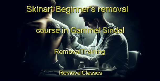 Skinart Beginner's removal course in Gammel Sindal | RemovalTraining | RemovalClasses | SkinartTraining-Denmark