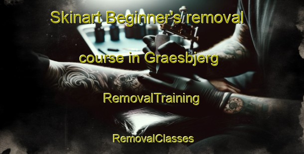 Skinart Beginner's removal course in Graesbjerg | RemovalTraining | RemovalClasses | SkinartTraining-Denmark