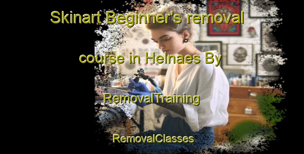Skinart Beginner's removal course in Helnaes By | RemovalTraining | RemovalClasses | SkinartTraining-Denmark