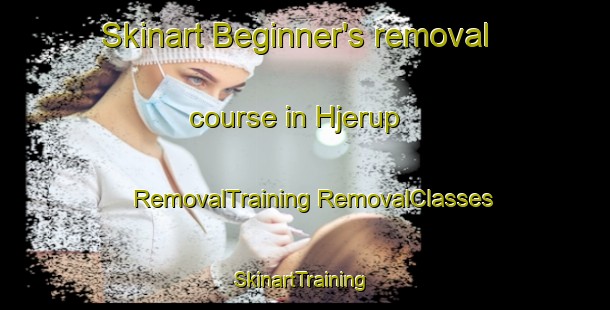 Skinart Beginner's removal course in Hjerup | #RemovalTraining #RemovalClasses #SkinartTraining-Denmark