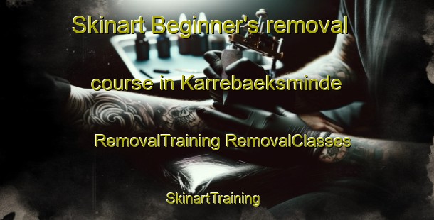 Skinart Beginner's removal course in Karrebaeksminde | #RemovalTraining #RemovalClasses #SkinartTraining-Denmark