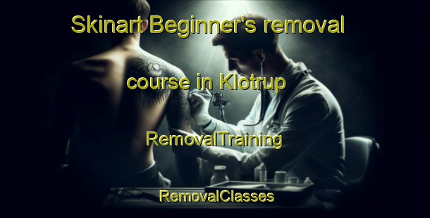 Skinart Beginner's removal course in Klotrup | RemovalTraining | RemovalClasses | SkinartTraining-Denmark