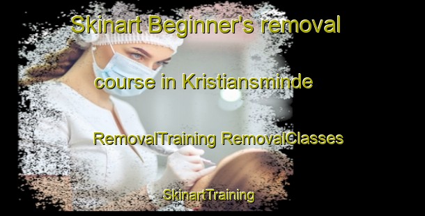 Skinart Beginner's removal course in Kristiansminde | #RemovalTraining #RemovalClasses #SkinartTraining-Denmark