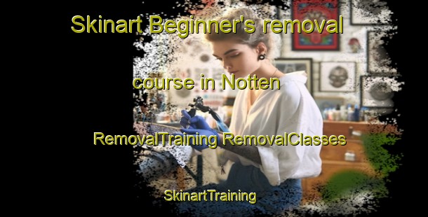 Skinart Beginner's removal course in Notten | #RemovalTraining #RemovalClasses #SkinartTraining-Denmark