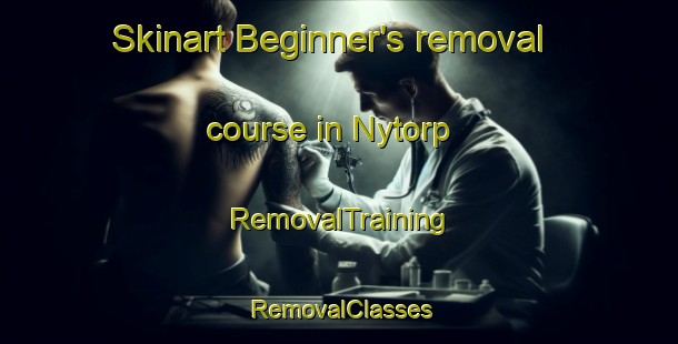 Skinart Beginner's removal course in Nytorp | RemovalTraining | RemovalClasses | SkinartTraining-Denmark