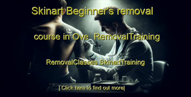 Skinart Beginner's removal course in Ove | #RemovalTraining #RemovalClasses #SkinartTraining-Denmark