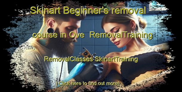 Skinart Beginner's removal course in Ove | #RemovalTraining #RemovalClasses #SkinartTraining-Denmark