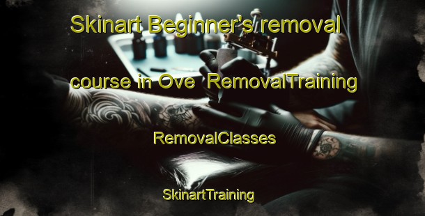 Skinart Beginner's removal course in Ove | RemovalTraining | RemovalClasses | SkinartTraining-Denmark
