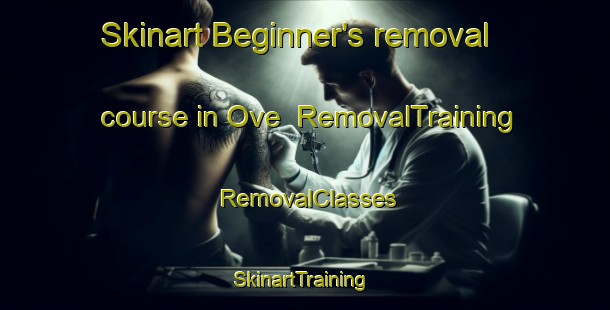 Skinart Beginner's removal course in Ove | RemovalTraining | RemovalClasses | SkinartTraining-Denmark
